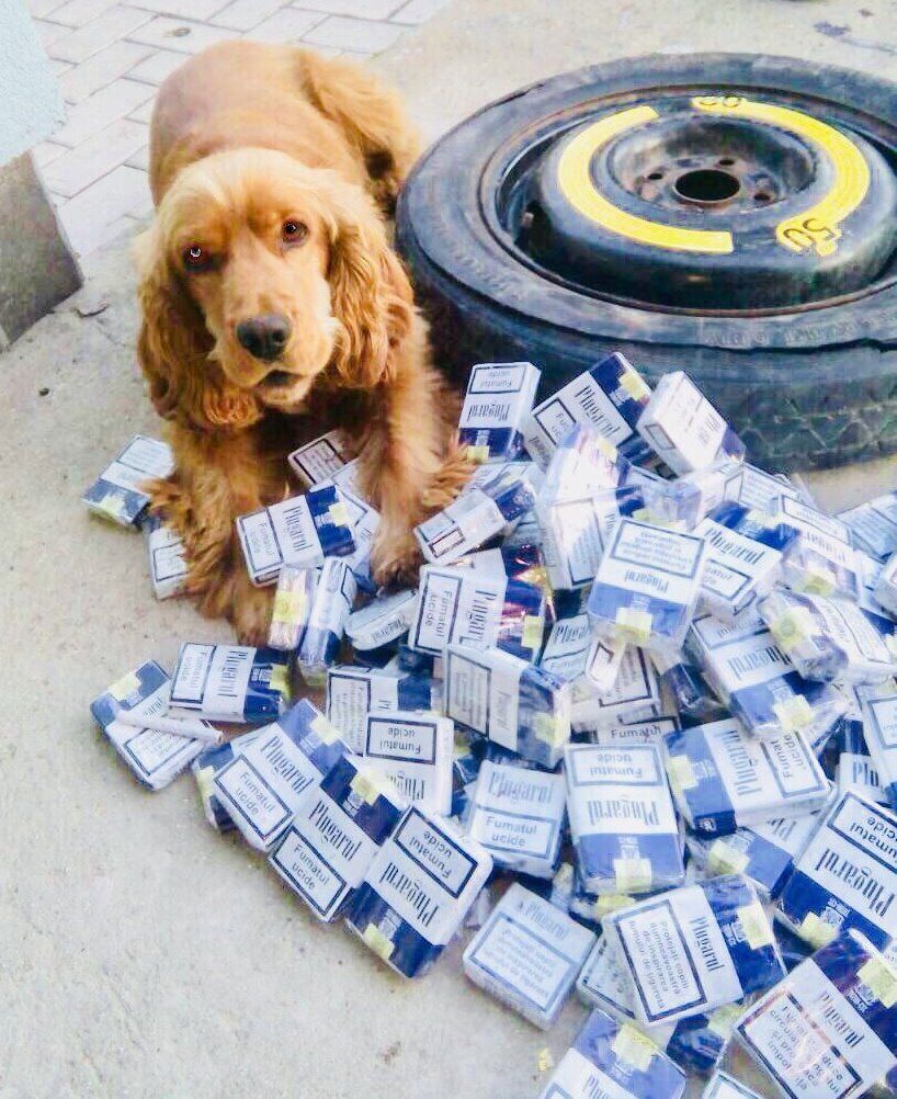 Două tentative de contrabandă: Vameșii au reținut 8.000 de țigarete