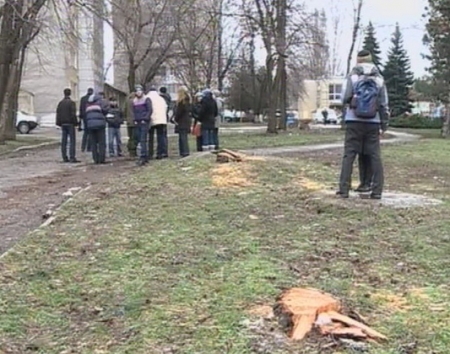 Группа людей из целого ряда организаций организовали акцию протеста возле парка «La Izvor», где была возобновлена вырубка деревьев. Фото: protv.md