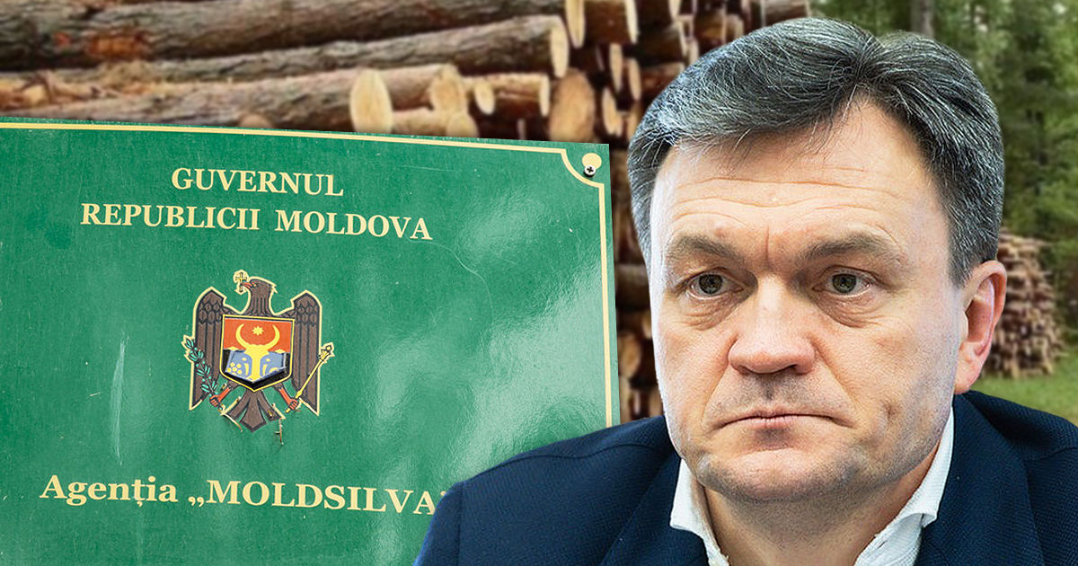 Moldsilva завершила внутреннее расследование нарушения, свидетелем которого был Речан.