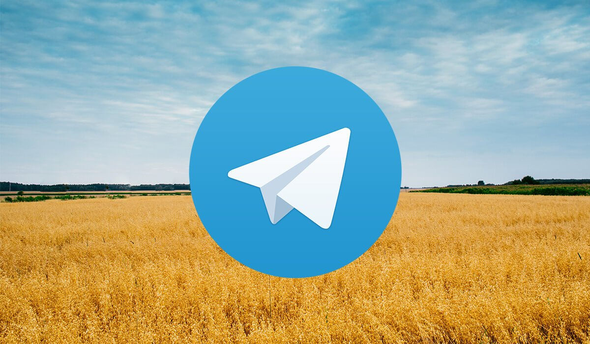 В Украине нет ресурсов на регуляцию Telegram, но она может его отключить.