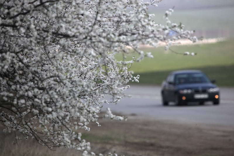 În această săptămînă vremea va fi schimbătoare, din cauza alternării maselor de aer.
