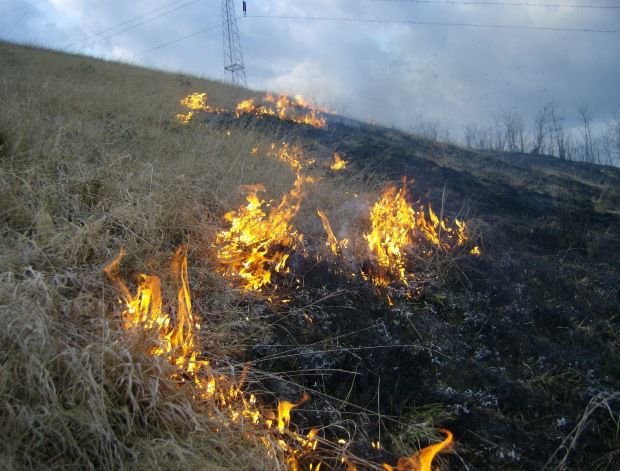Un incendiu de vegetație a izbucnit pe strada Gheorghe Cașu, 31, din cartierul Malina Mică. Foto-simbol: politik.md