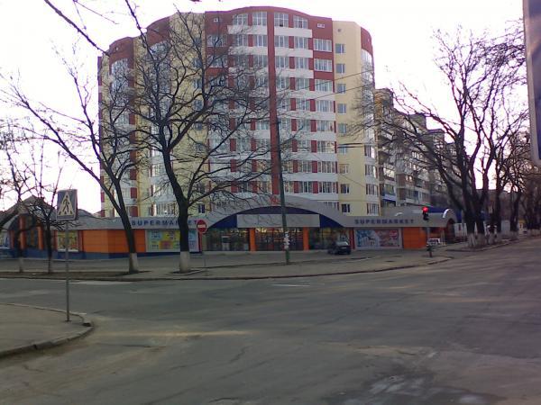 На улице Докучаева предстоит очистить деревья от сухих веток и срубить высохшие деревья.