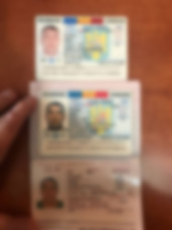 Pleca la muncă în Germania. Moldovean, prins la vamă cu acte false
