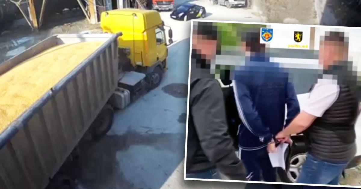 Аграрии потеряли полмиллиона на семечках подсолнечника.