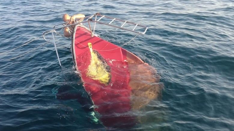 В Крыму перевернулось прогулочное судно из-за увидевших медузу туристов.