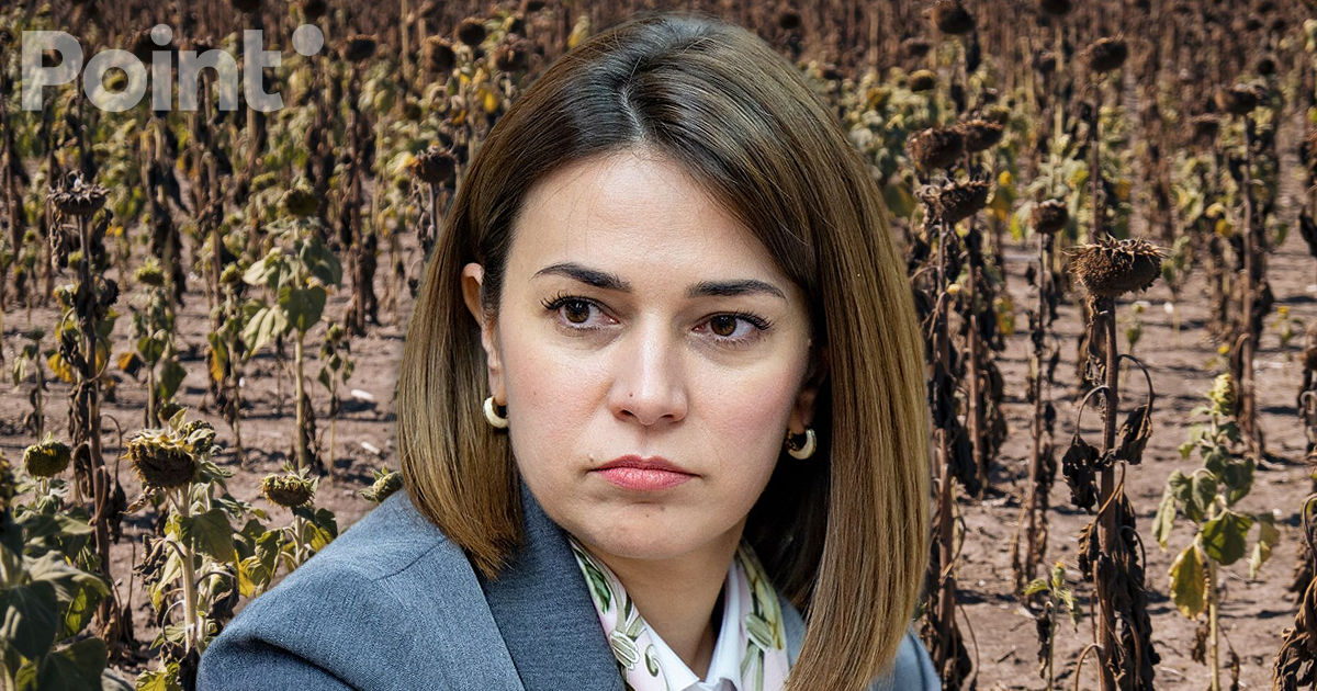 Catlabuga: Seceta a afectat aproximativ 33.000 de hectare de culturi agricole în Moldova.