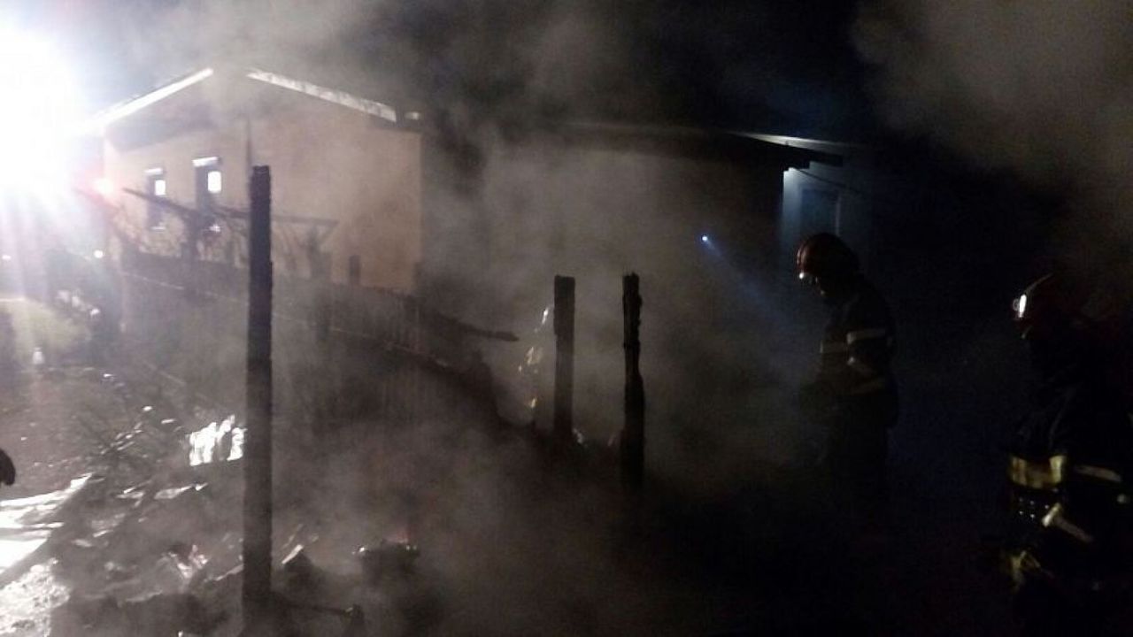 Vrancea: Peste 100 de animale au ars de vii la o microfermă