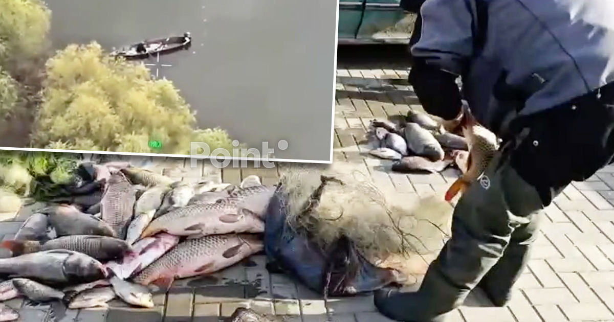 Un caz de braconaj, depistat pe lacul Beleu: Paguba, estimată la aproape 150.000 de lei.