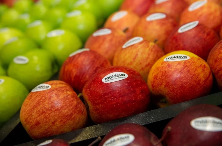 На выставке «Fruit Logistica» в Берлине Молдову представили 16 компаний.
