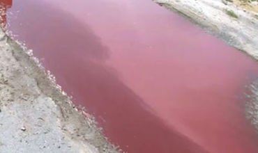 Накануне специалисты получили первые пробы загрязнённой воды.
