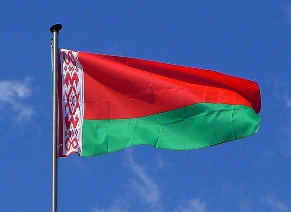 Актив Белорусской общины Республики Молдова высказался в поддержку инициативы по внедрению смешанной системы голосования.