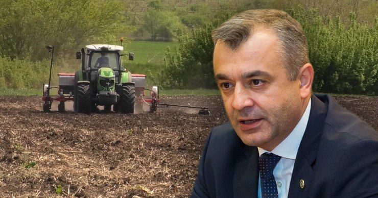 Уже ясно, что сельскохозяйственный сектор сильно пострадал, заявил Кику. Фото: Point.md.