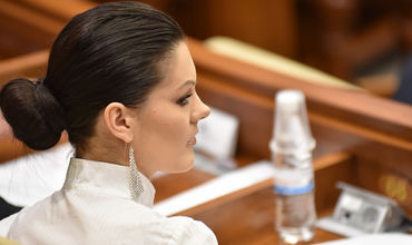 Zotea cere explicații de la Candu privind tăierea arborilor din spatele Parlamentului.