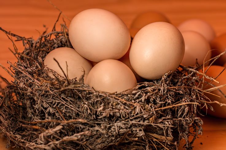 Au fost făcute modificări în marcajul ouălor destinate consumului uman