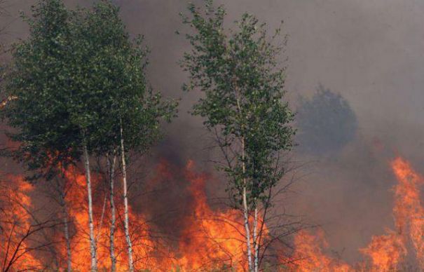 Incendiu devastator în Ucraina. Foto: evz.ro