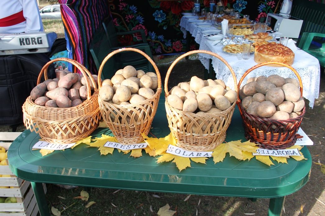 В селе Рышкова прошел фестиваль картофеля.