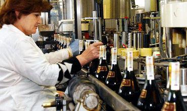 Producatorii care produc vin nu vor mai fi obligaţi să deţină o licenţă în acest sens