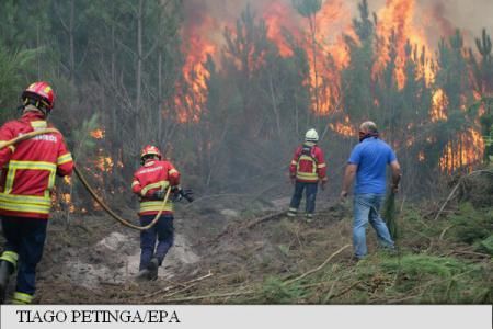 Spania: 442.000 de hectare au fost distruse de incendii