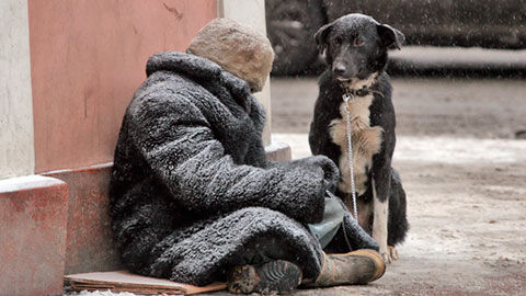 Acoperiş pe timp de iarnă. Oamenii se adună la Centrul de Triere . Foto simbol: tbn-tv.ru