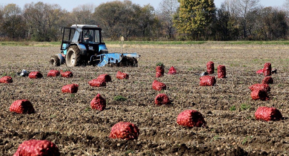 В Молдове под земли сельхозназначения отведены миллион 600 тысяч гектаров.