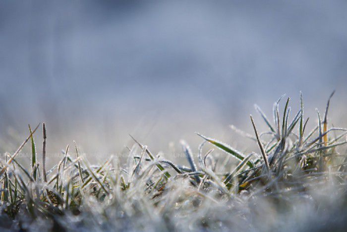 Avertizare meteorologică: Cod galben de înghețuri la sol