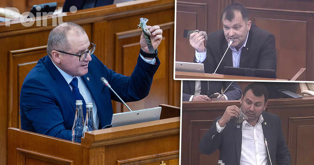 Dispute aprinse în Parlament din cauza ghindelor: Cu acestea nici mistreții nu o să-i hrănim.