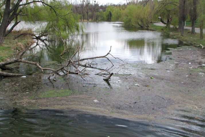 По словам эколога, «там, где воды непроточные, они постепенно начинают превращаться в болотистые».