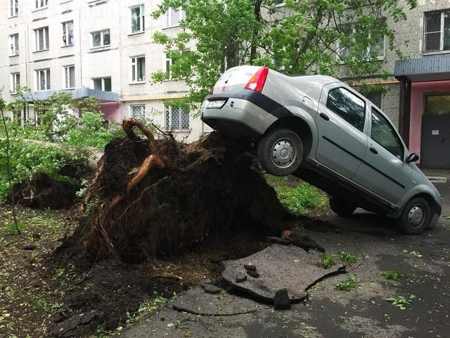 Число жертв урагана в Москве увеличилось до 11 человек.