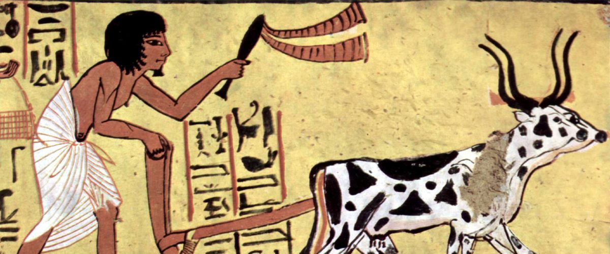 Ученые доказали, что признанная теория происхождения цивилизаций ошибочна.