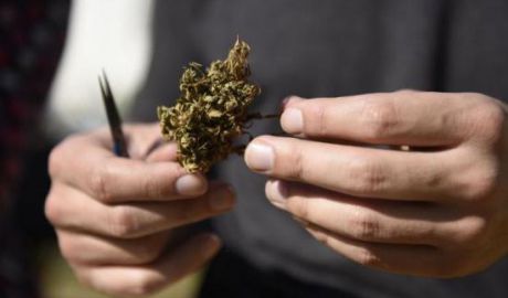 Consumul de marijuană, legalizat în statul american Oregon. Foto: antena3.ro