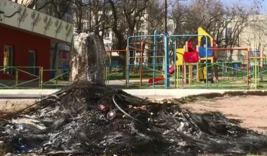 Правом наказывать нарушителей обладают также органы местной публичной власти и экологическая инспекция. 