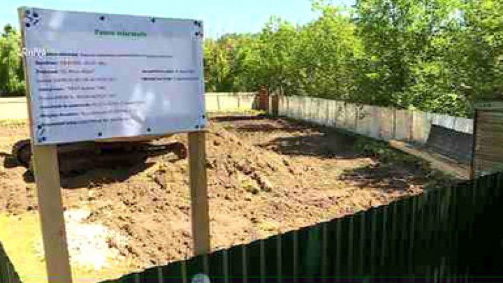 Жительница Кишинева обвинила власти в сговоре с предпринимателем из-за АЗС.