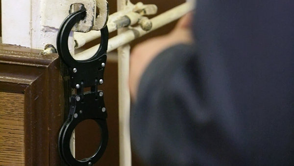 Мужчине грозит штраф в размере от 500 до 1500 условных единиц или лишение свободы на срок до 5 лет. Фото: ria.ru