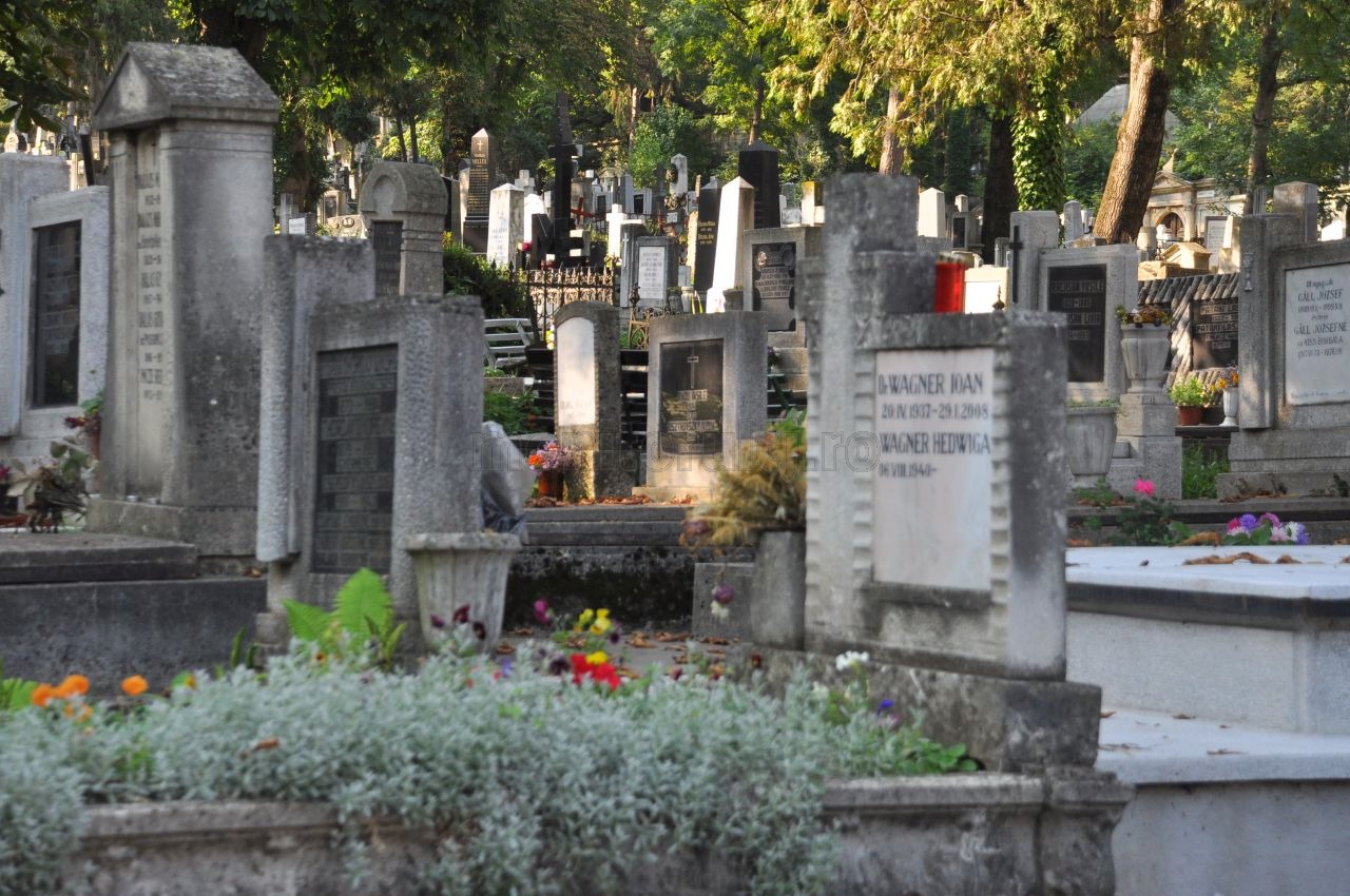 Descoperire arheologică: Cimitir uriaş găsit în sudul Egiptului