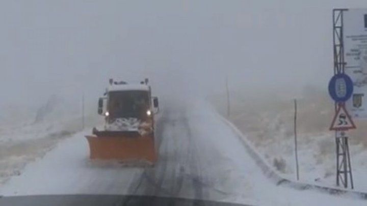 Непогода в Румынии: сильный ветер валит деревья.