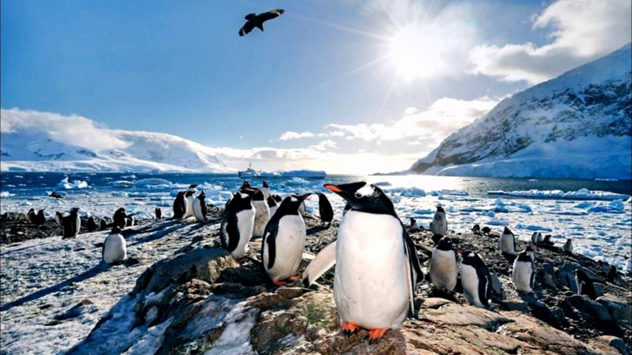 Peste 40.000 de dolari pe an și fără cheltuieli: Antarctica caută lucrători pentru 2026.