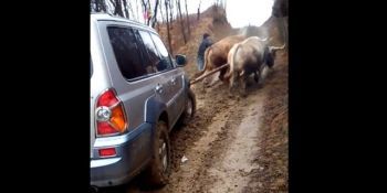 Femeie operată, dusă la medic cu o mașină trasă de boi.