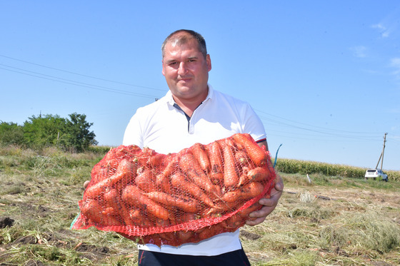 Молдавский юрист занялся выращиванием моркови.