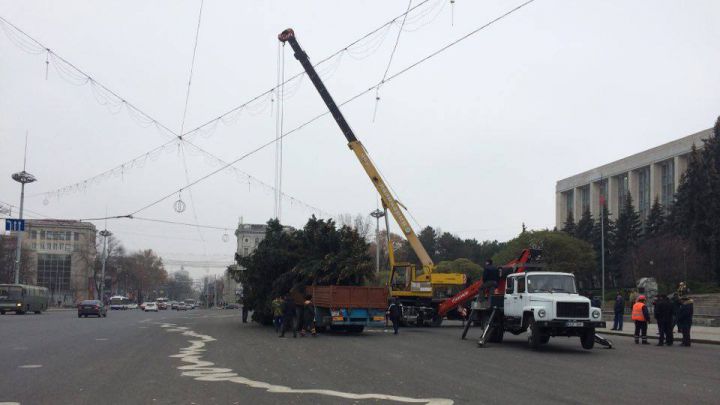 Pomul de Crăciun a fost instalat în PMAN.