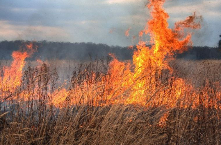 За последние три дня пожары уничтожили более 100 гектаров сухой растительности.
