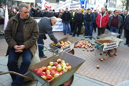Акция протеста в Варшаве (Польша) против запрета России на ввоз польских овощей и фруктов, 4 ноября 2014 года.