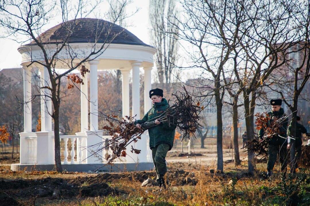 «Аллея выпускников» заложена в Екатерининском парке.