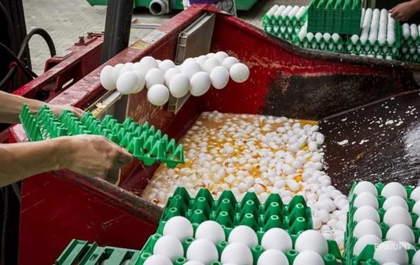 В Дании продали 20 тонн зараженных инсектицидами куриных яиц из Нидерландов.