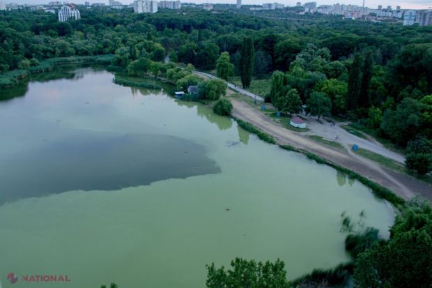 Lacurile din Valea Trandafirilor au devenit verzi. Foto: ziarulnational.md