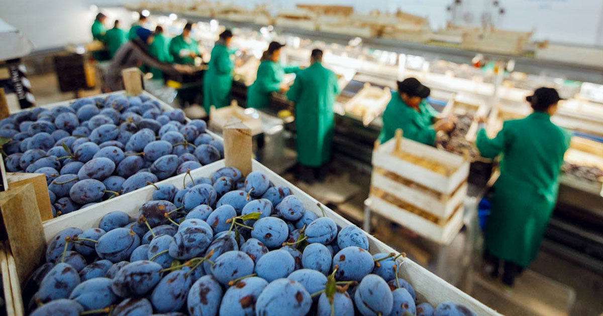 Uniunea Europeană extinde accesul produselor moldovenești pe piața comunitară.