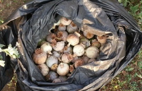 У мужчины обнаружен пакетом с 149 головками мака.