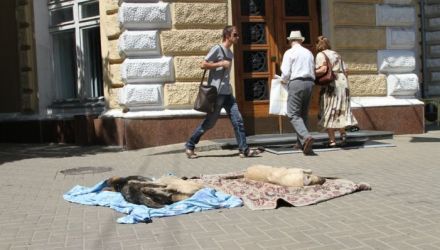 În semn de protest, aceștia au adus câteva cadavre în fața Primăriei.
