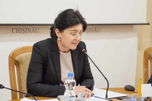 Averea Silviei Radu: Deține 24 de terenuri agricole și 3 mașini