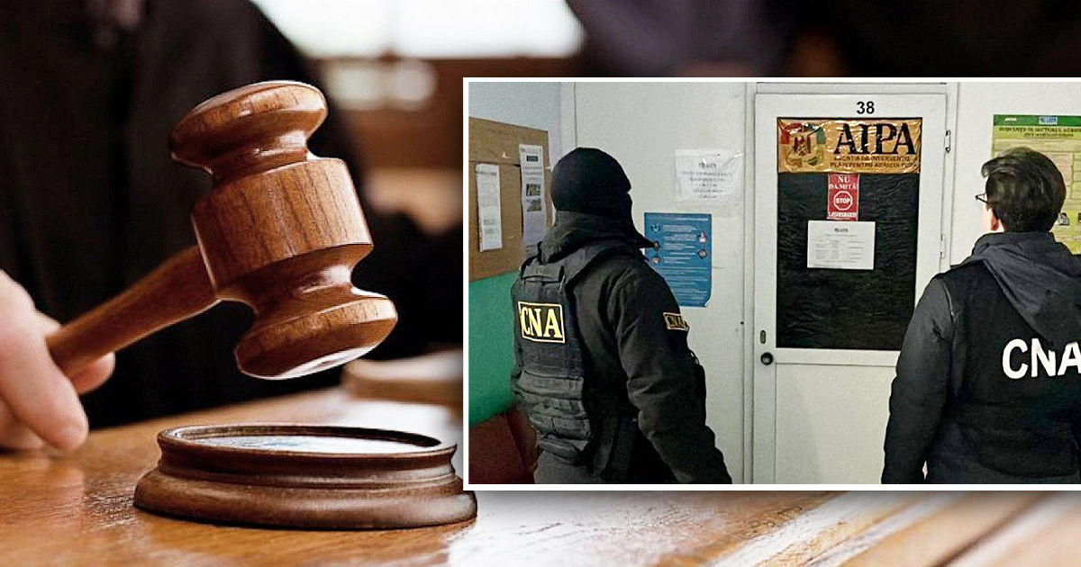 Суд рассмотрит сразу 7 дел о коррупции в Агентстве по сельхозвыплатам. Коллаж Point.md.